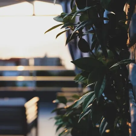 加里尼奥精品公寓酒店 *