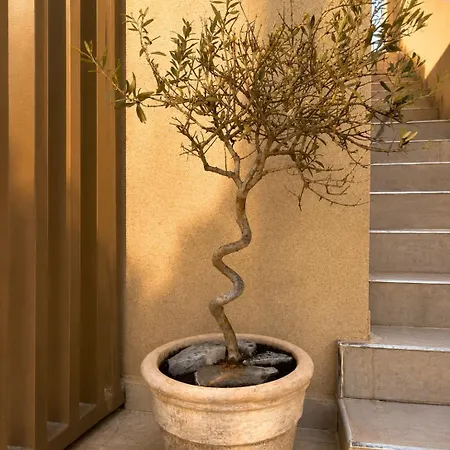 شقة Galinio Boutique سكافيديا